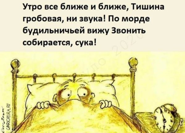 Просыпайся картинки прикольные