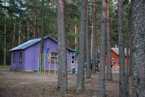 Лагерь Чайка Псковская область гороховое озеро