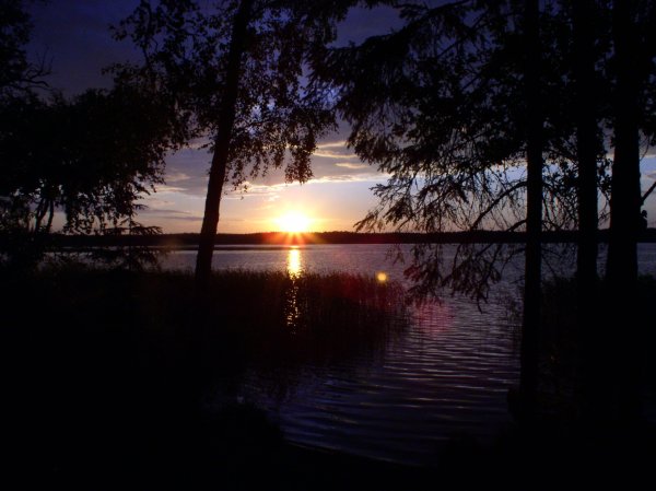 Оз Сенница Псковской области