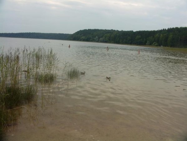 Гороховое озеро Псковская область