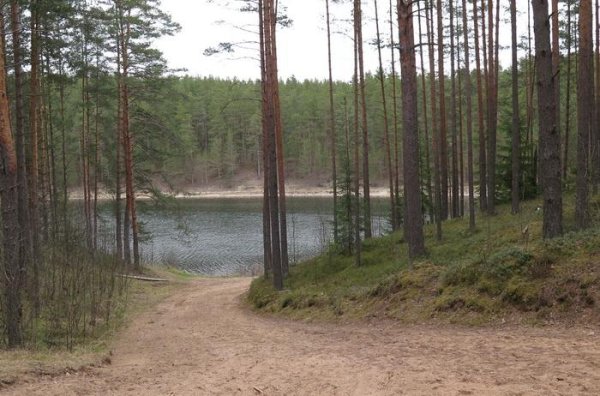 Озеро Песчаное Струги красные