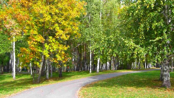 Парк Гафури Уфа осень