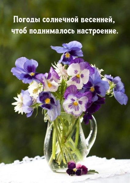 Букет анютиных глазок