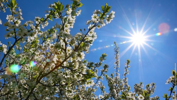 Весна солнце