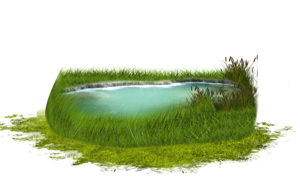 Болото на белом фоне