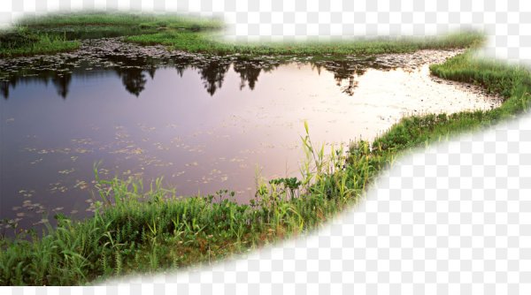 Водоем на белом фоне