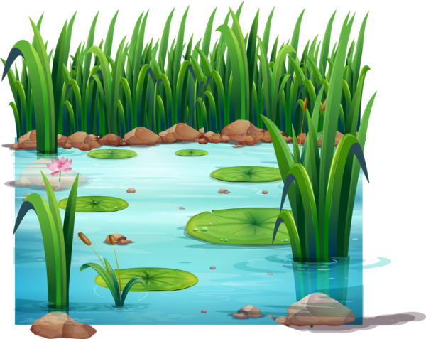 Пруд мультяшный