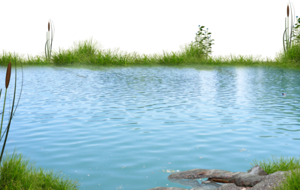 Озеро на белом фоне