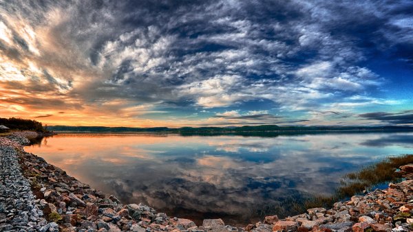 Оз Кэнон Чита