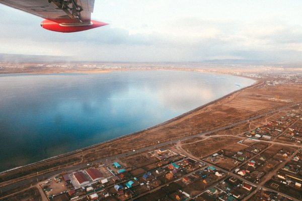 Оз Кэнон Чита