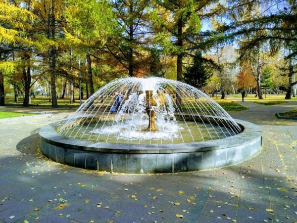 Нарымский парк Новосибирск