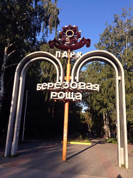 Парк Березовая роща город Новосибирск