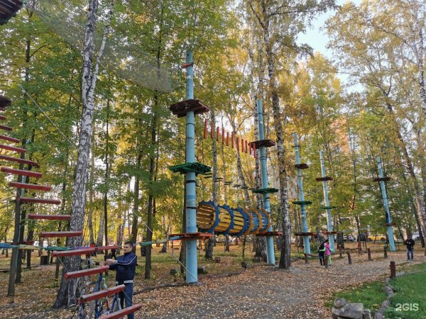 Берёзовая роща парк Новосибирск веревочный парк