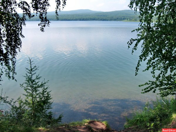 Озеро Линево Шарыпово