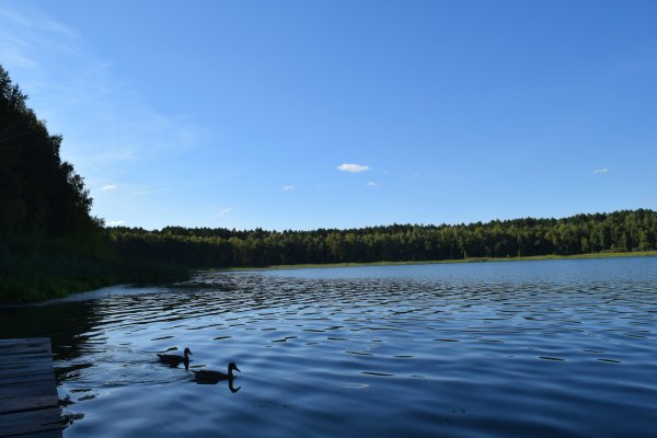Данилово озеро Омская область