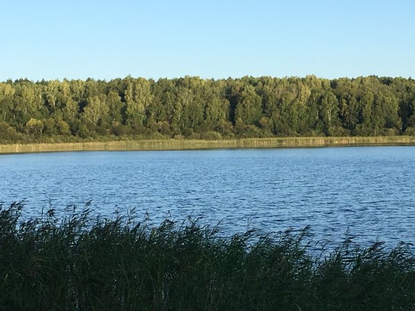 Линёво озеро Омская