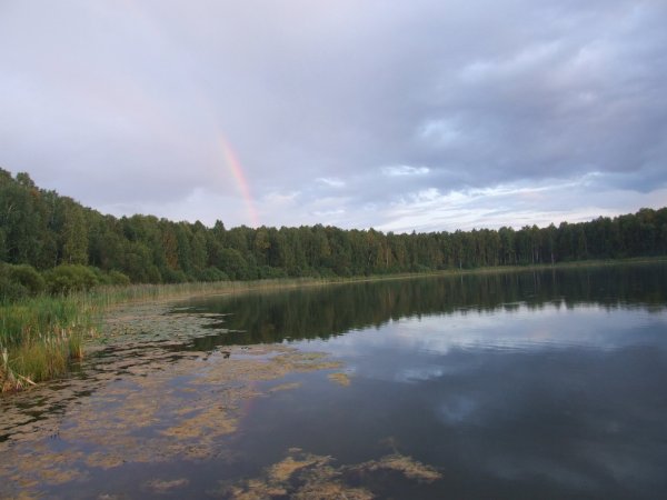 Озеро Линево Муромцевский