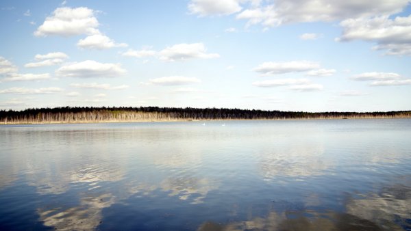 Линево Окунево 5 озер