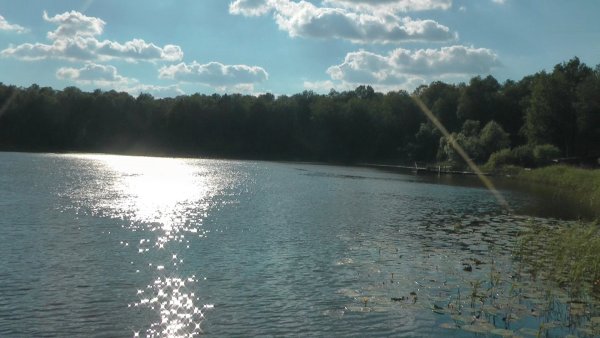 Озеро Данилово Муромцево