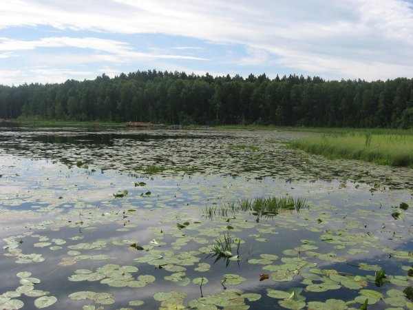 Пять озёленево Омская область