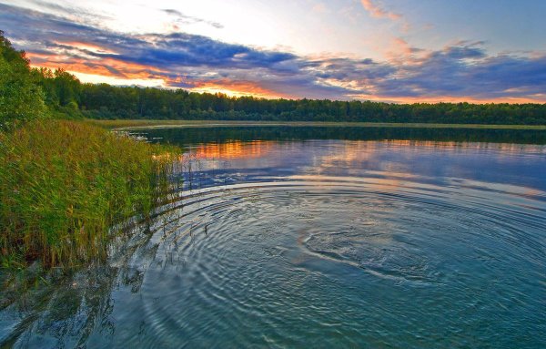 Озеро Линево Омская область