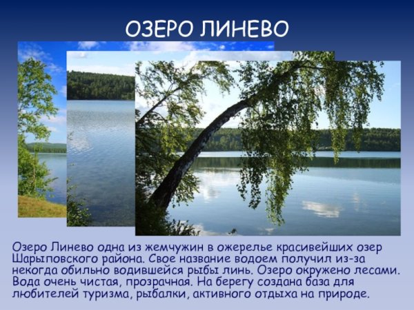 Озеро Линево Шарыповский район карта