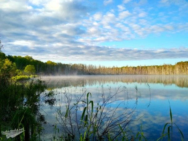 Озеро Щучье Муромцево