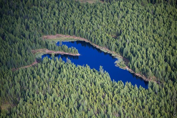 5 Озёр в Омской области