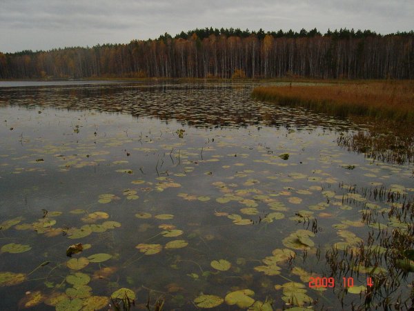 Озеро Линево