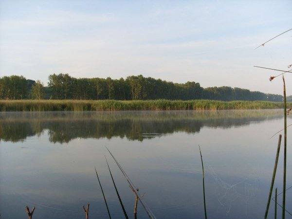 Линёво озеро Омская область