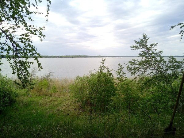 Данилово озеро Омск