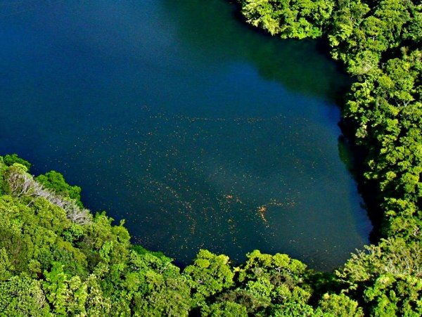 Остров Палау озеро медуз