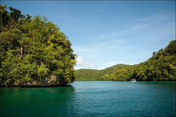 Озеро в Палау