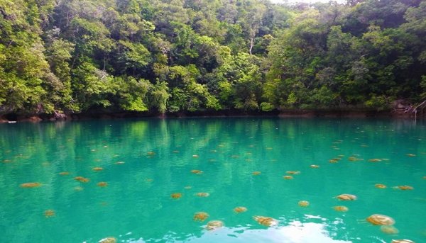 Озеро Нгардок в Палау