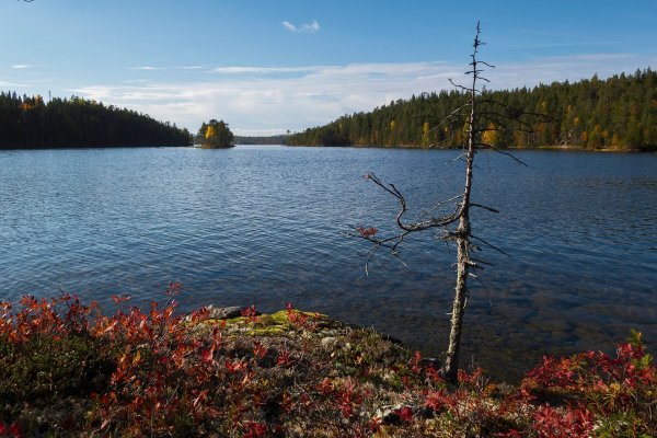 Озеро Урозеро Карелия