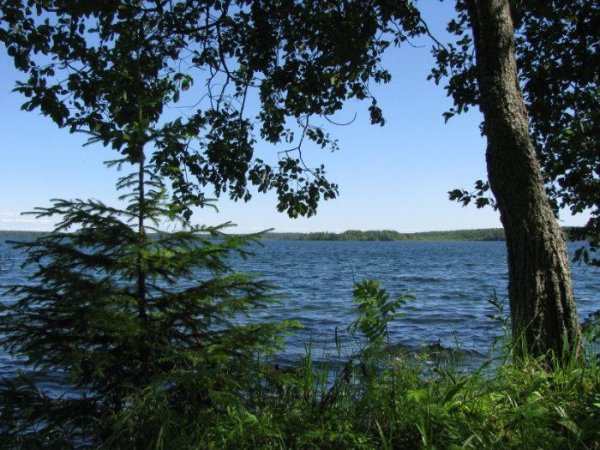 Урозеро Карелия