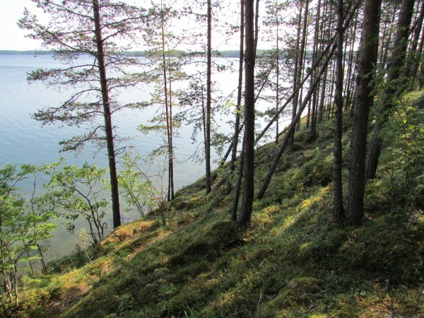 Озеро Урозеро Карелия