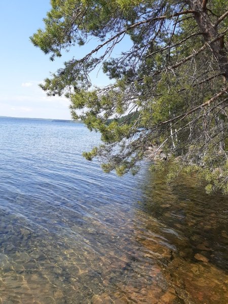 Урозеро Карелия