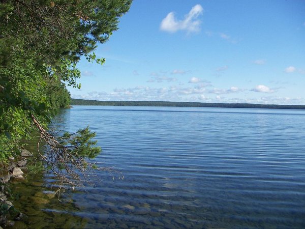 Урозеро фото