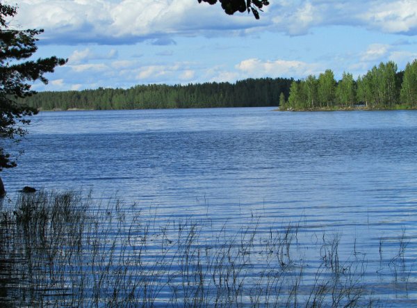 Урозеро Карелия