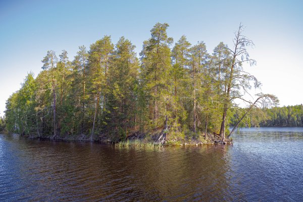 Озеро Сандал Карелия