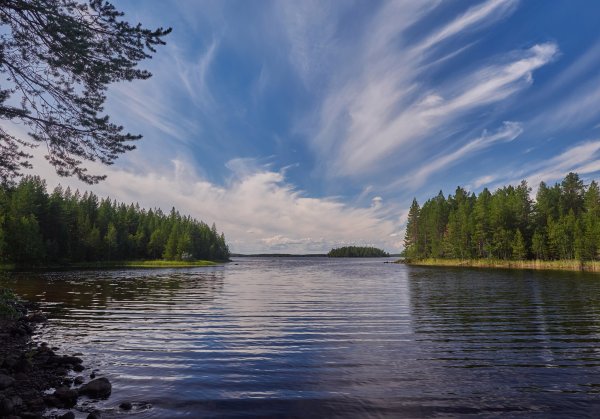 Озеро заборное Карелия