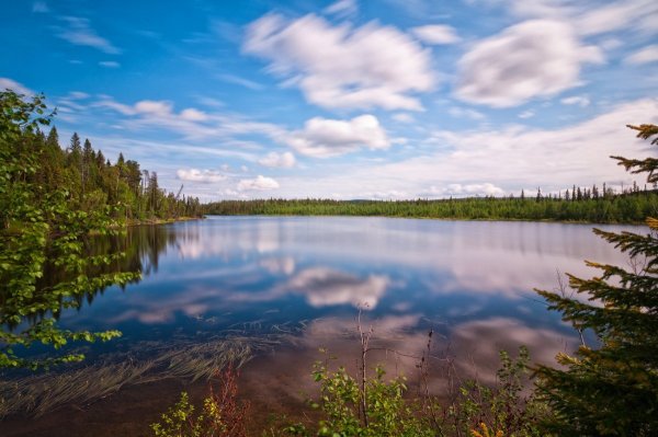 Озеро в Карелии лето