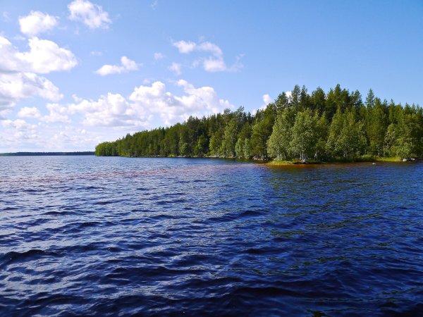 Карелия озеро Евжозеро