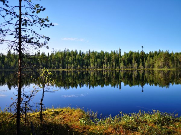 Озеро Топозеро Карелия