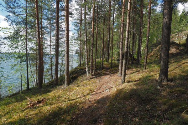 Озеро Урозеро