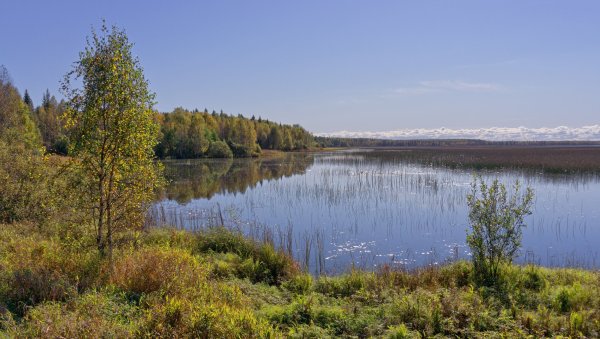 Падозеро Карелия