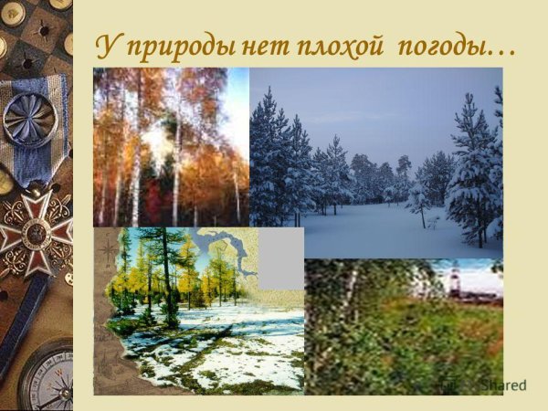 У природы нет плохой