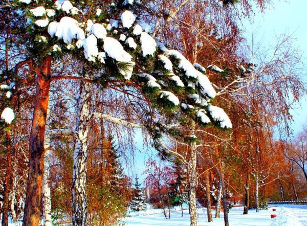 У природы нет плохой погоды из фильма