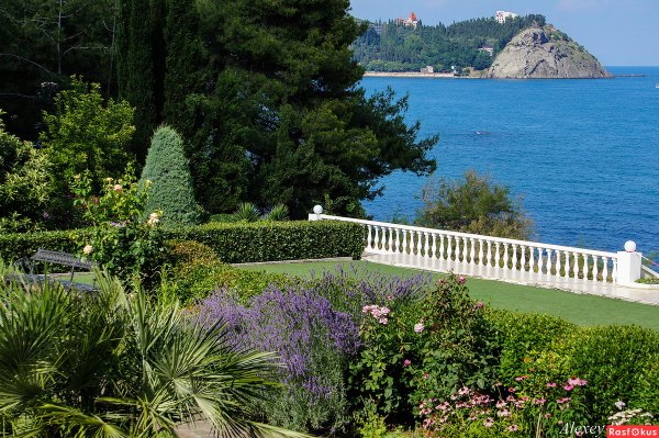 Партенит парк Айвазовского 2021